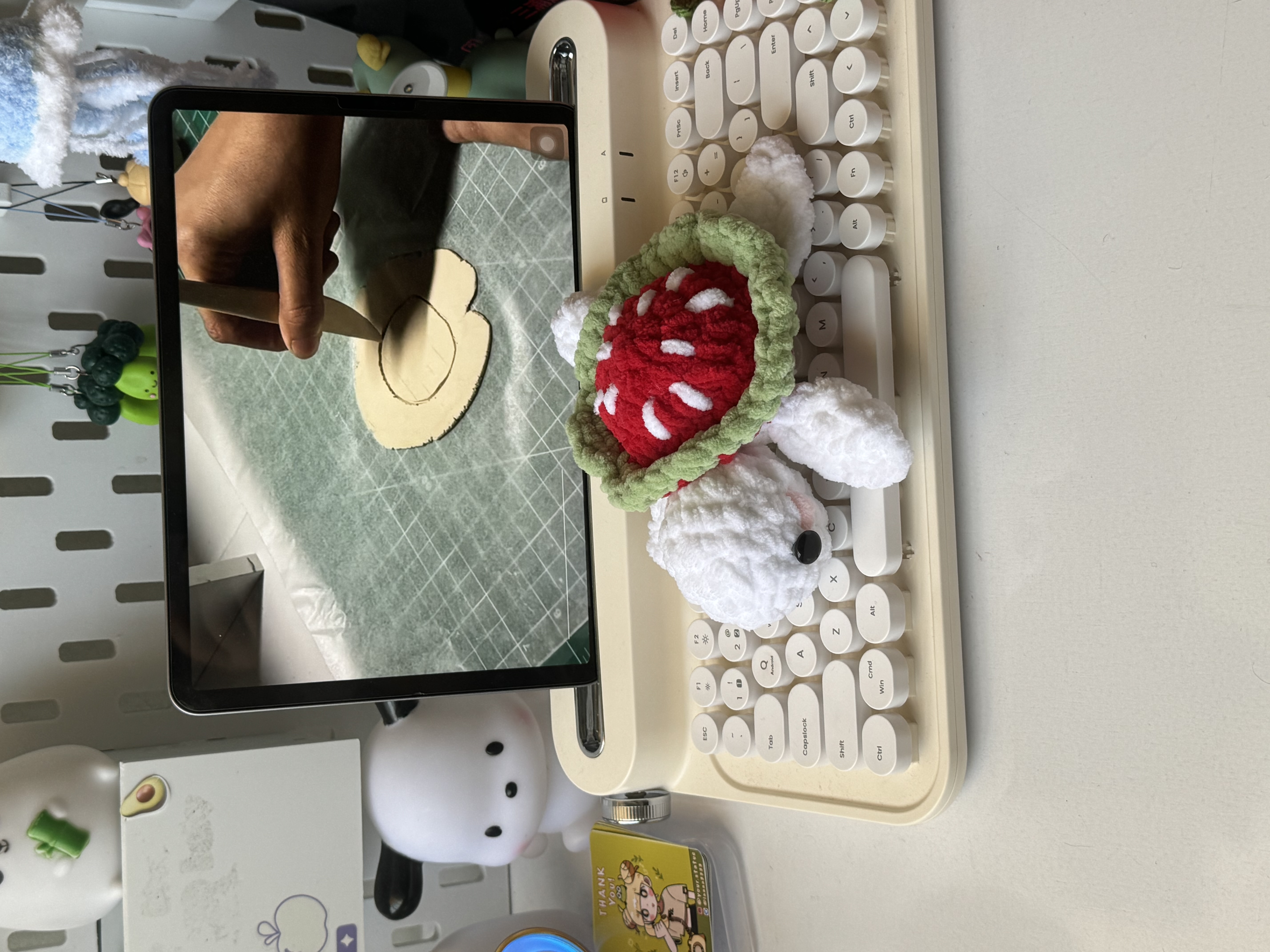 لاک پشت توت فرنگی🍓
